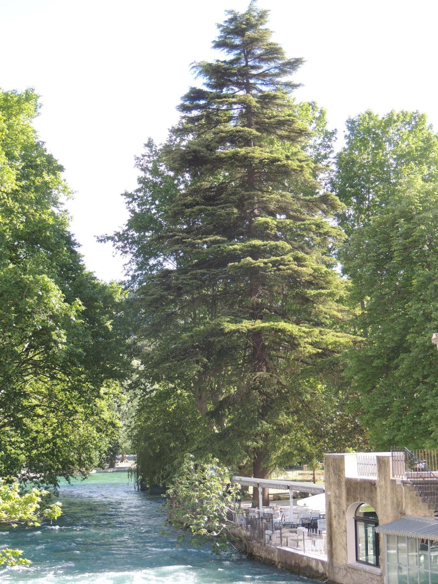 Hotel Restaurant Du Parc En Bord De Riviere Fontaine-de-Vaucluse Esterno foto